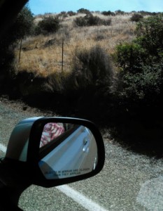 Enjoying the Open Roads of San Diego County Mirror