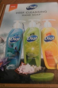 Dial Deep Cleansing Hand Soap Box Family Soap Refreshing Moisture Micro Scrubber